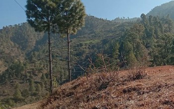 बैतडीका डम्मरको हत्यापछि गाउँमा त्रास